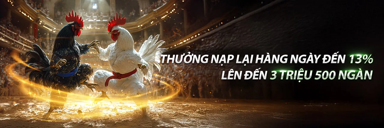 Sân đấu đá gà trực tuyến kịch tính tại 188v