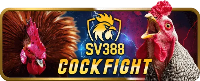 Bước 3: Nhận hoa hồng